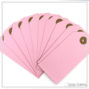 Parcel Tags x 10 | Pinks