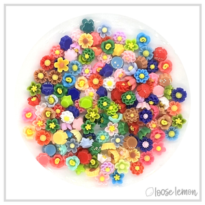 Mini Resin Flowers | Mixed (2g)