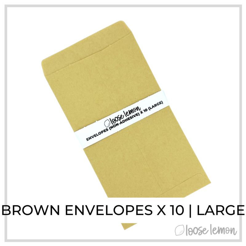 Brown Envelopes X 10 | Large