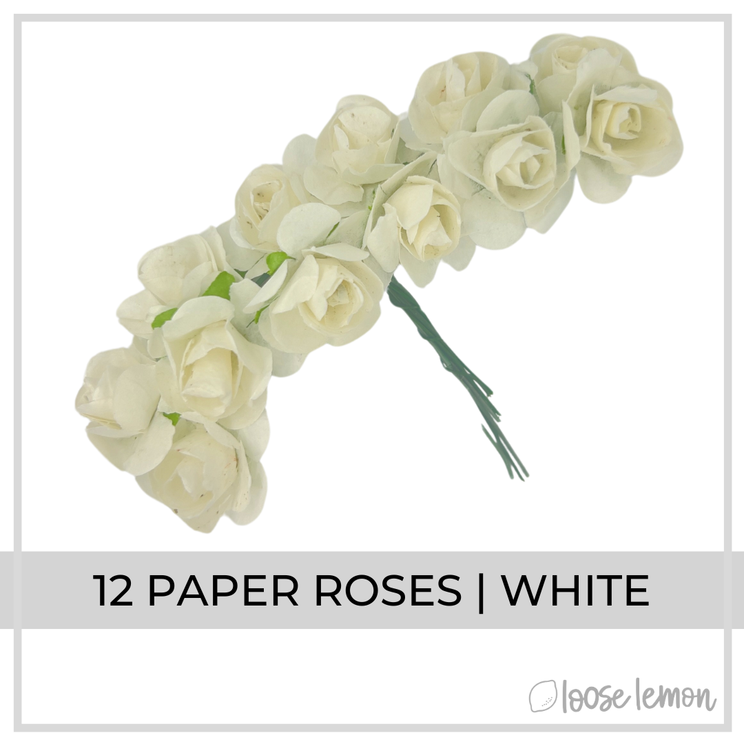 Paper Roses x 12 | White
