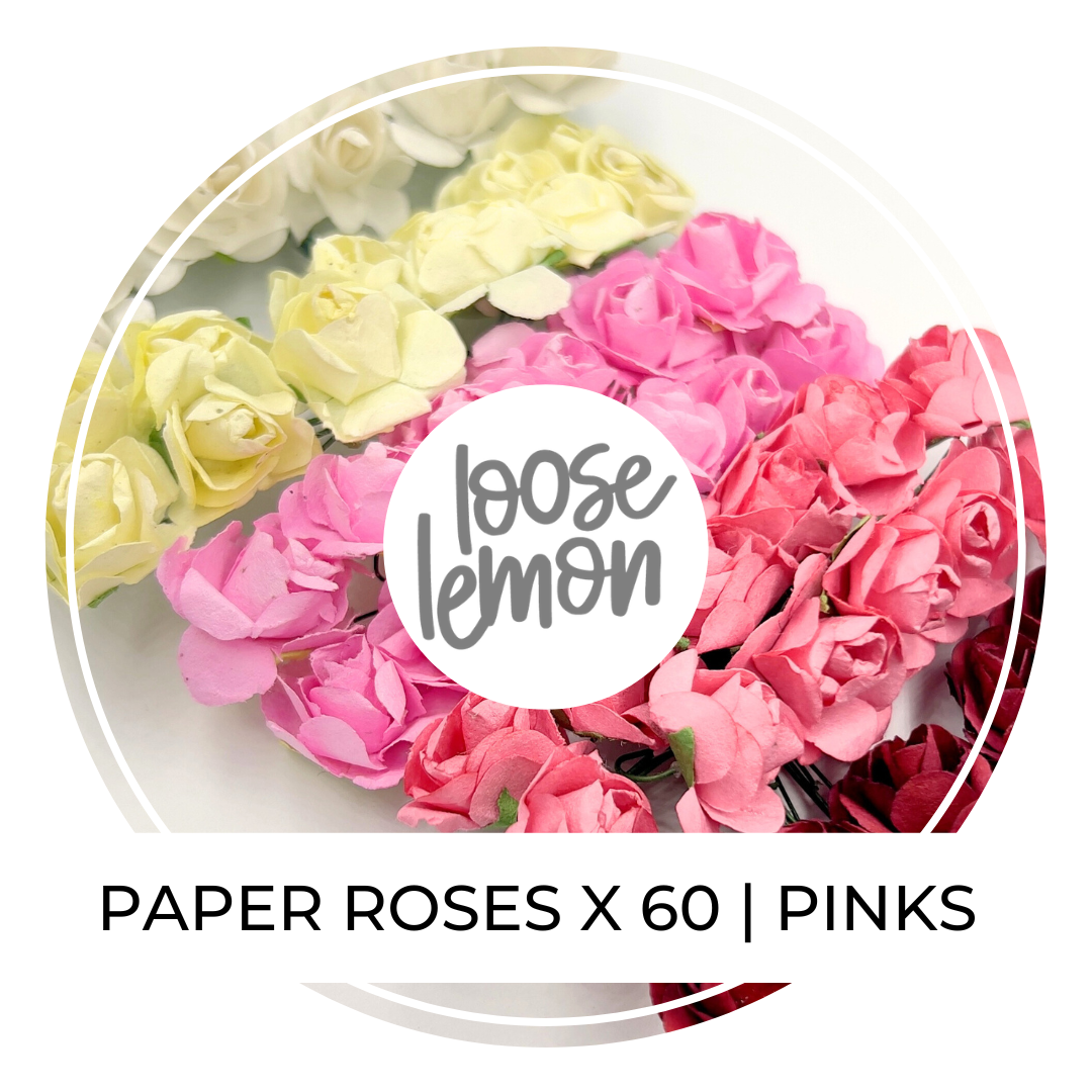 Paper Roses x 60 (Pink, Red, Cream, White & Blush)