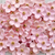 Little Birdie Handmade Flowers | Beaded Blooms (Pearl)