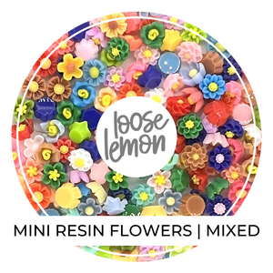 Mini Resin Flowers  | Mixed (2g)