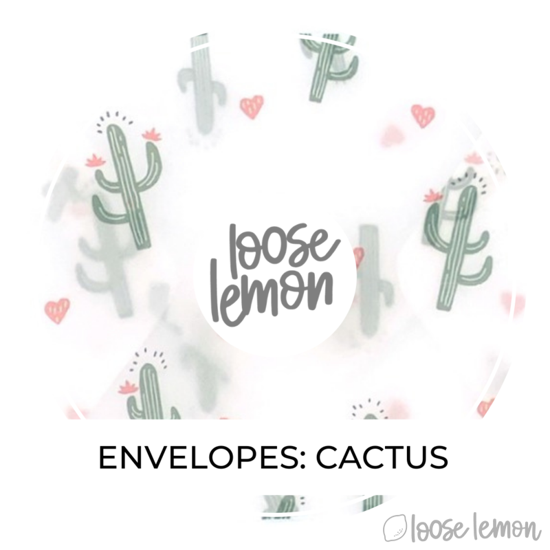 Cactus Vellum Envelopes X 3