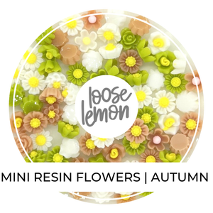 Mini Resin Flowers  | Autumn Mix