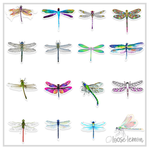 50 Sticker Set | Dragonflies