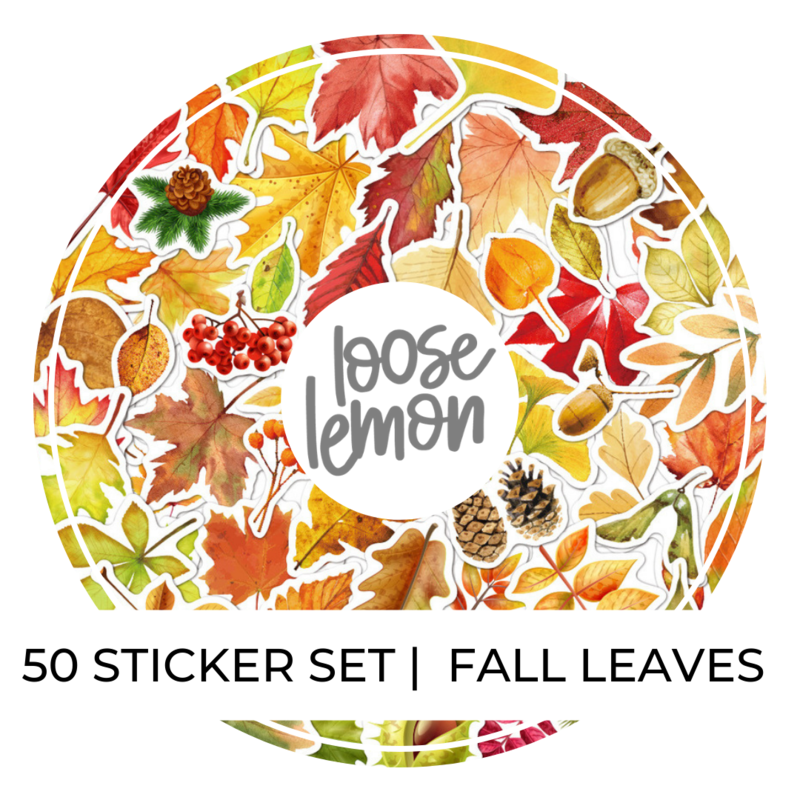 50 Sticker Set | Fall Leaves