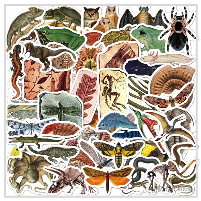 50 Sticker Set | Fossily